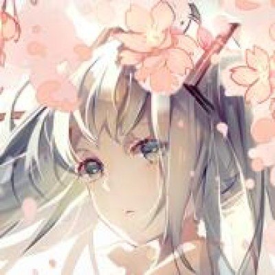 拍拍贷高利率